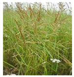 Drones 04 00025 i008 Drones 04 00025 i008