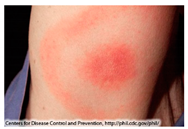 Drones 04 00040 i004 Drones 04 00040 i004