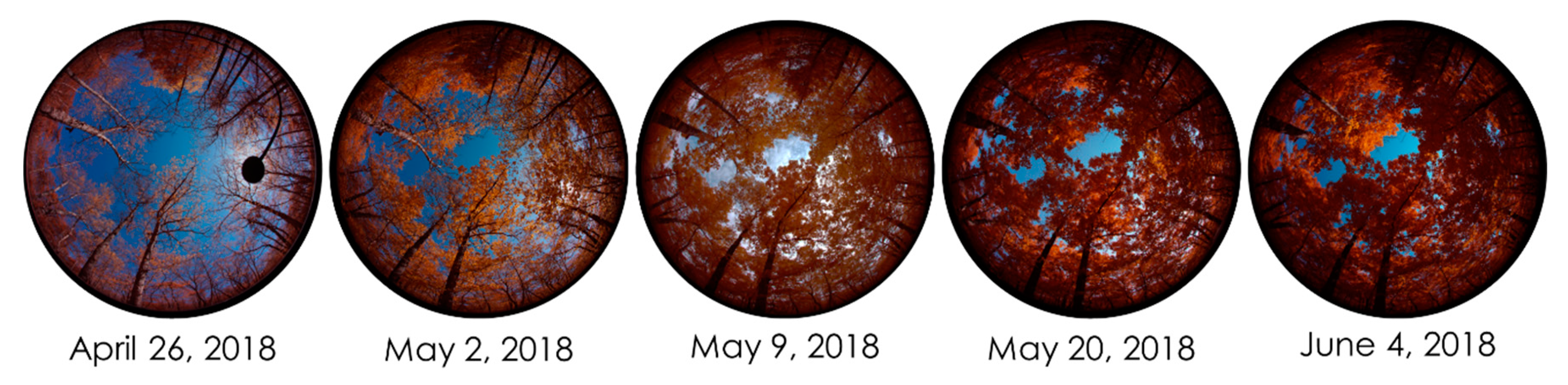 Drones 04 00056 g001 Drones 04 00056 g001