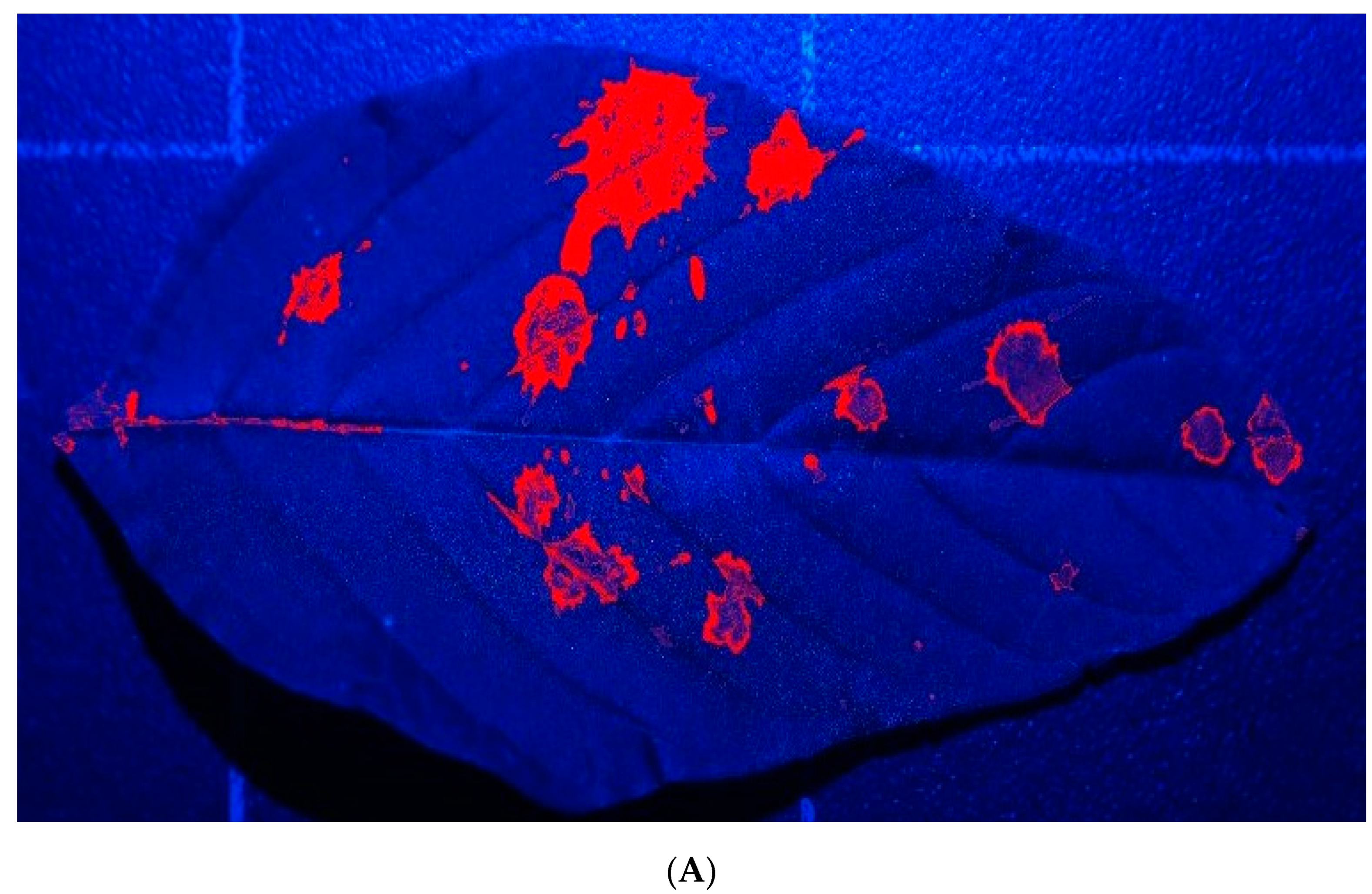 Drones 04 00059 g006a