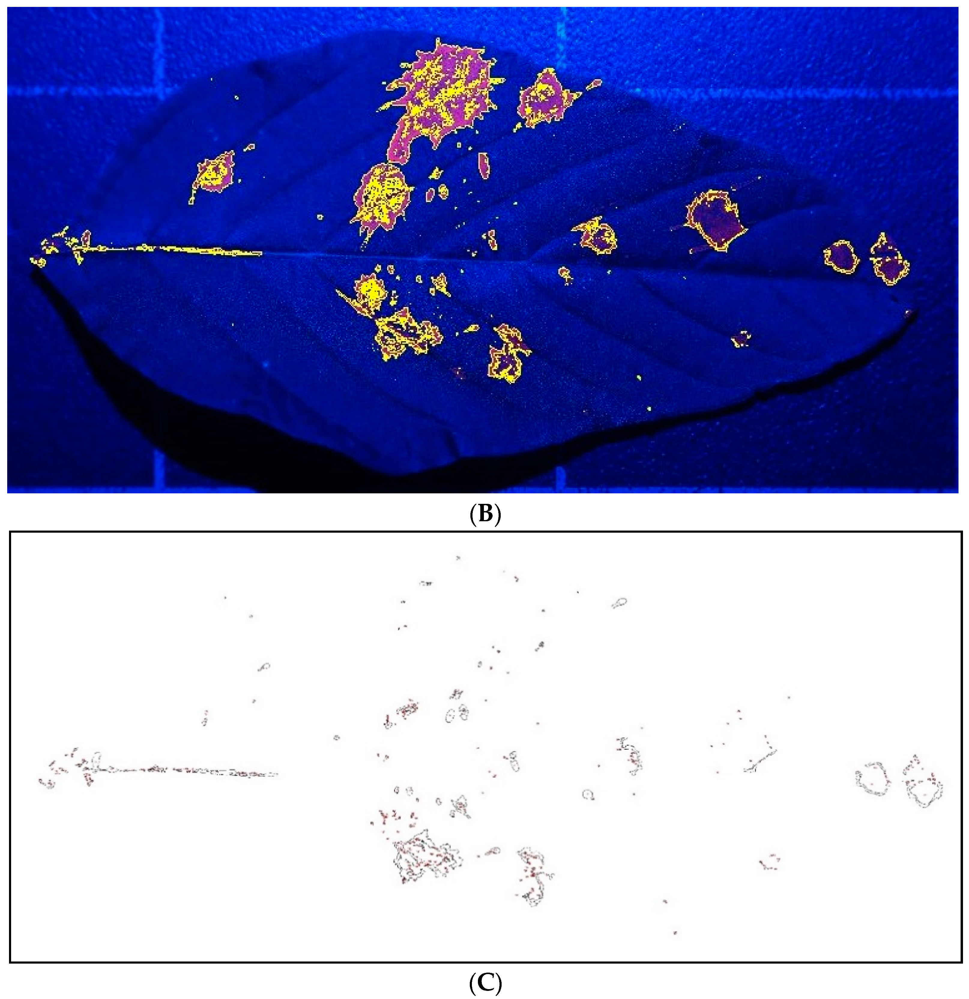 Drones 04 00059 g006b