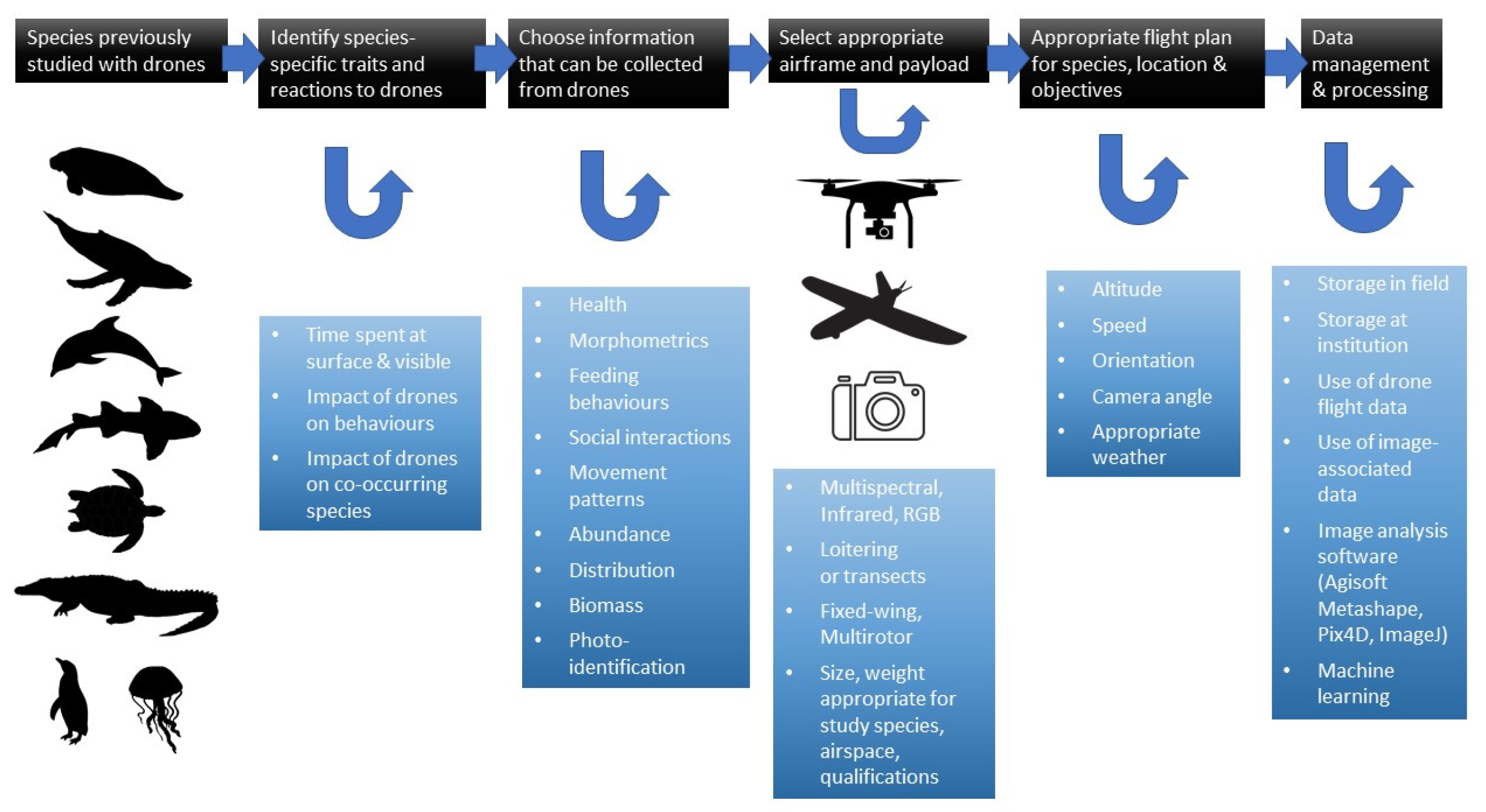 Drones Free Full-Text Operational Protocols for the Use of Drones in Marine Animal Research