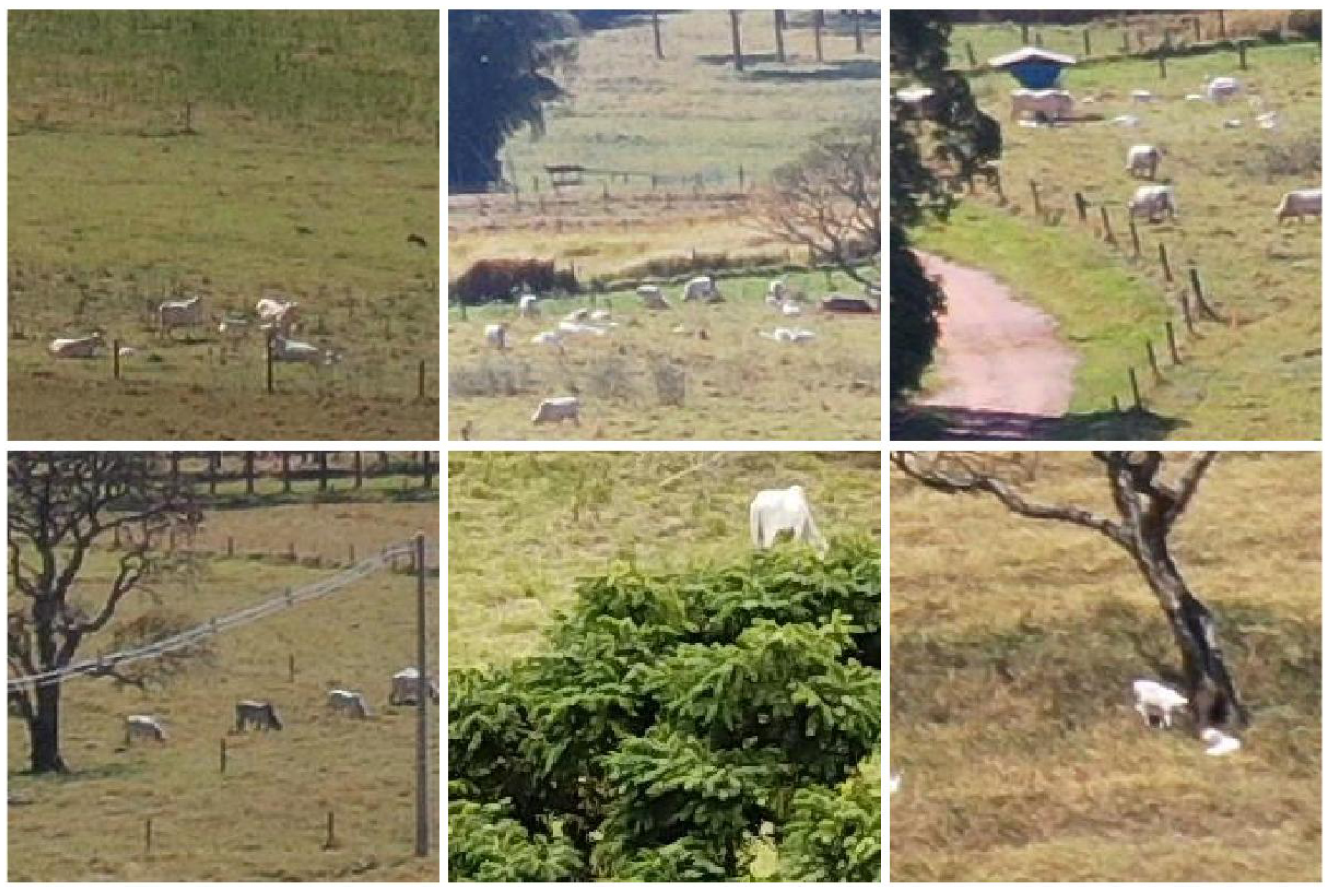 Drones 04 00075 g001 Drones 04 00075 g001