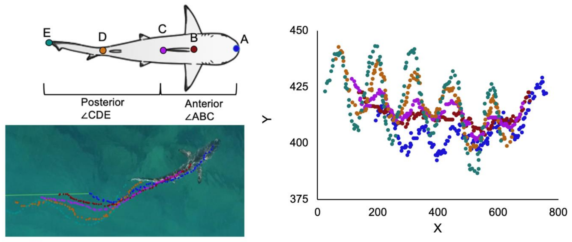 Drones 04 00078 g002
