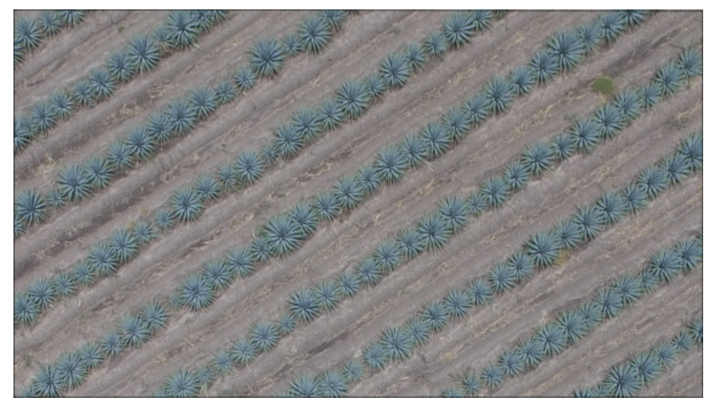 Drones 05 00004 g010