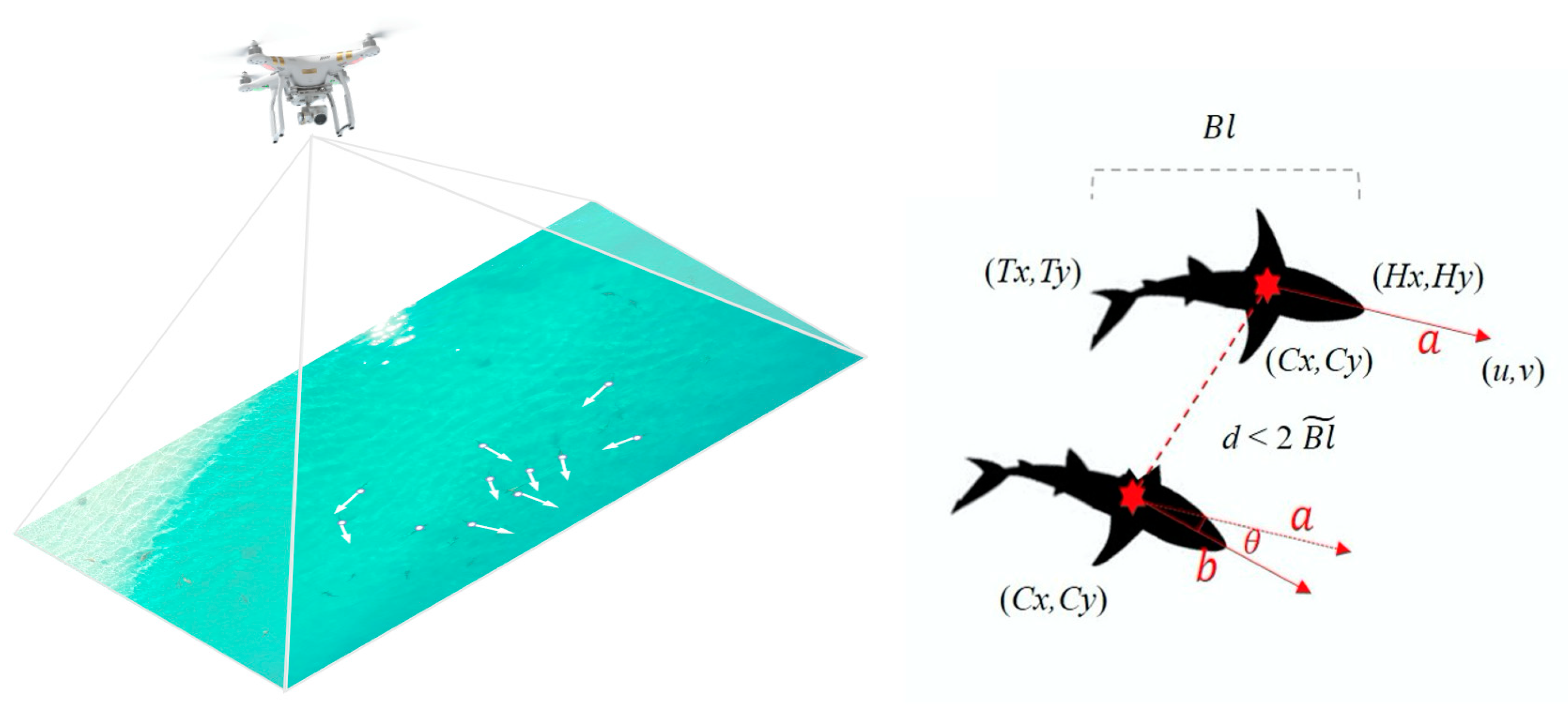 Drones 05 00008 g004 Drones 05 00008 g004