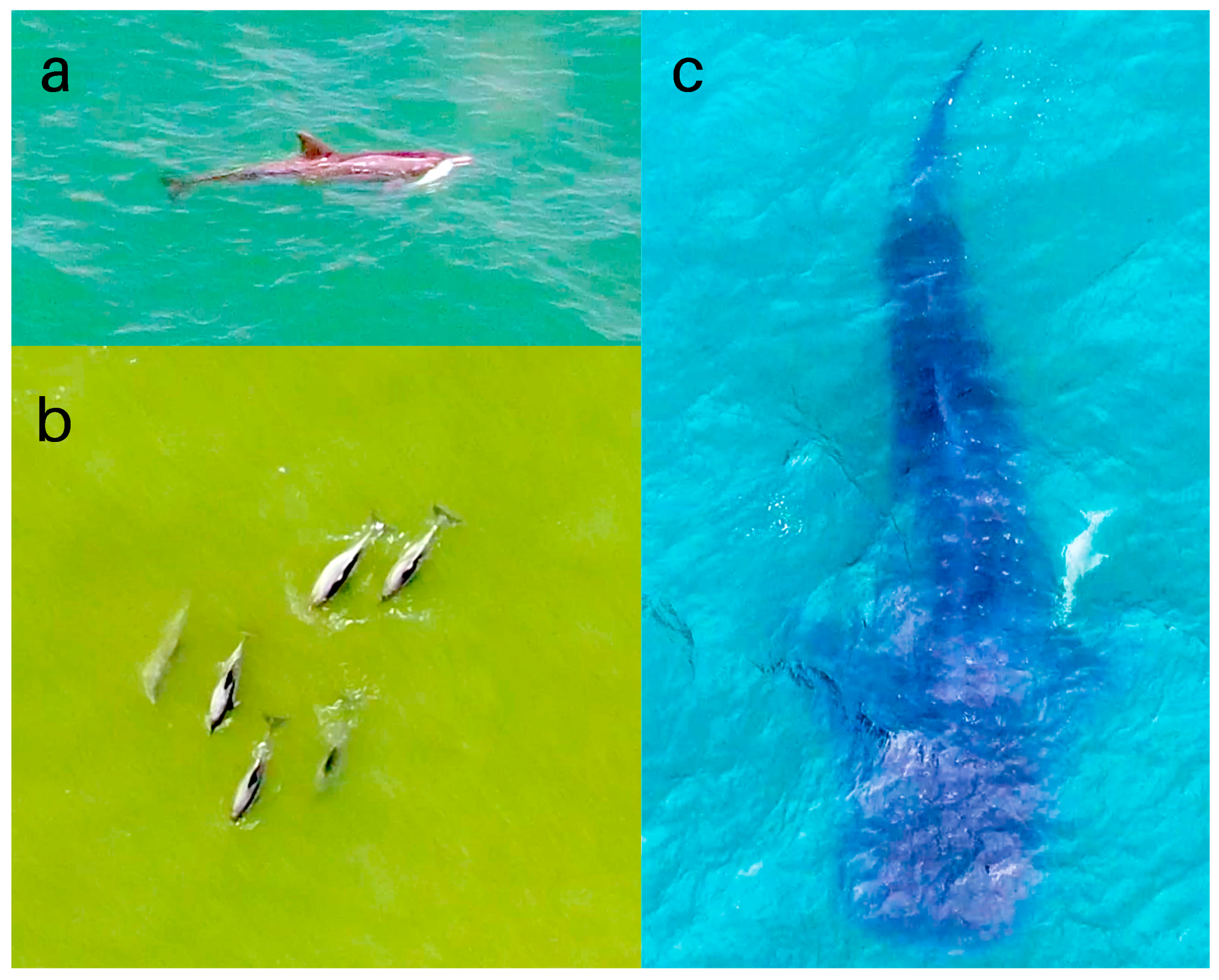 Drones 05 00014 g008