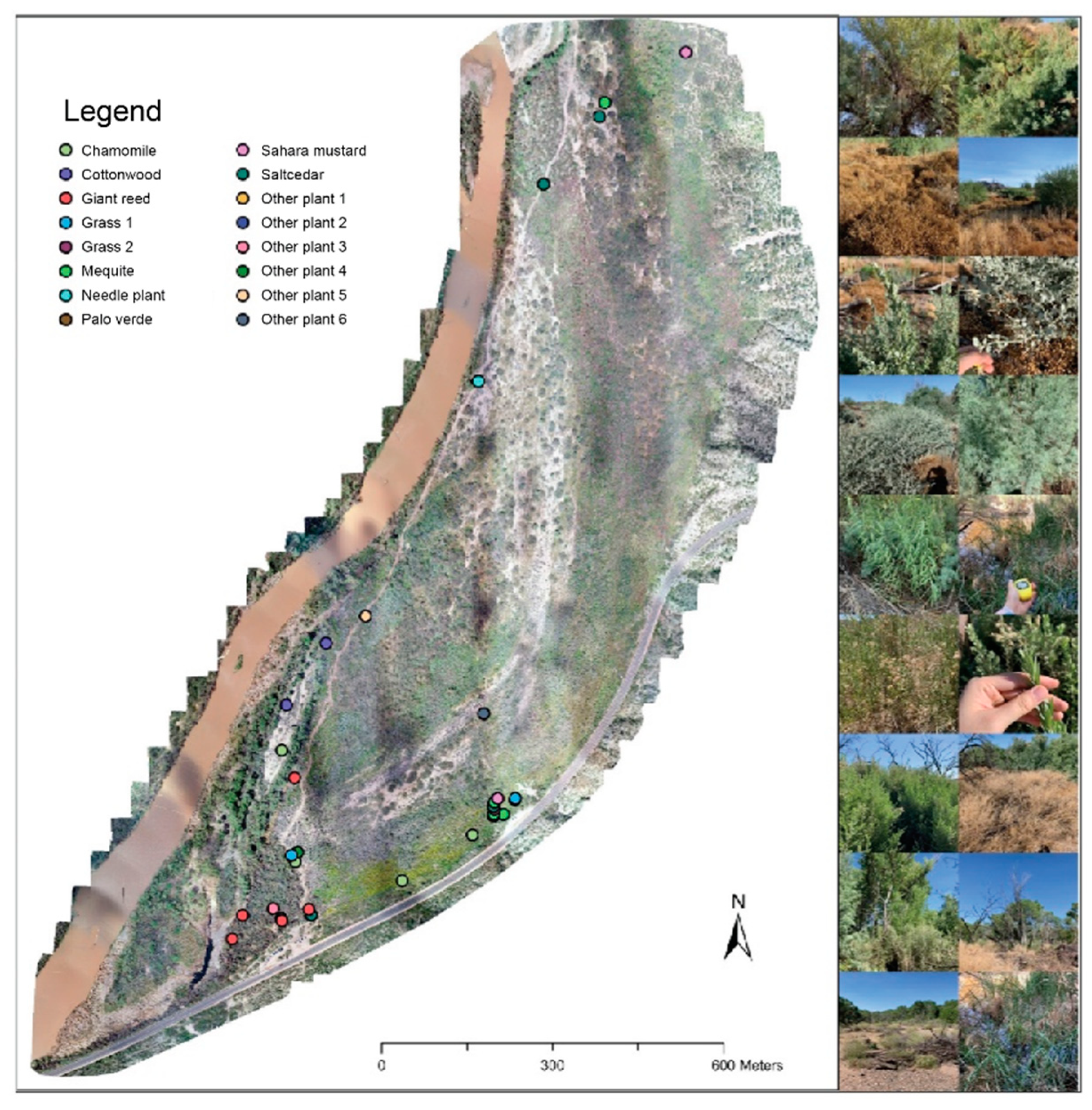 Drones 05 00019 g004 Drones 05 00019 g004