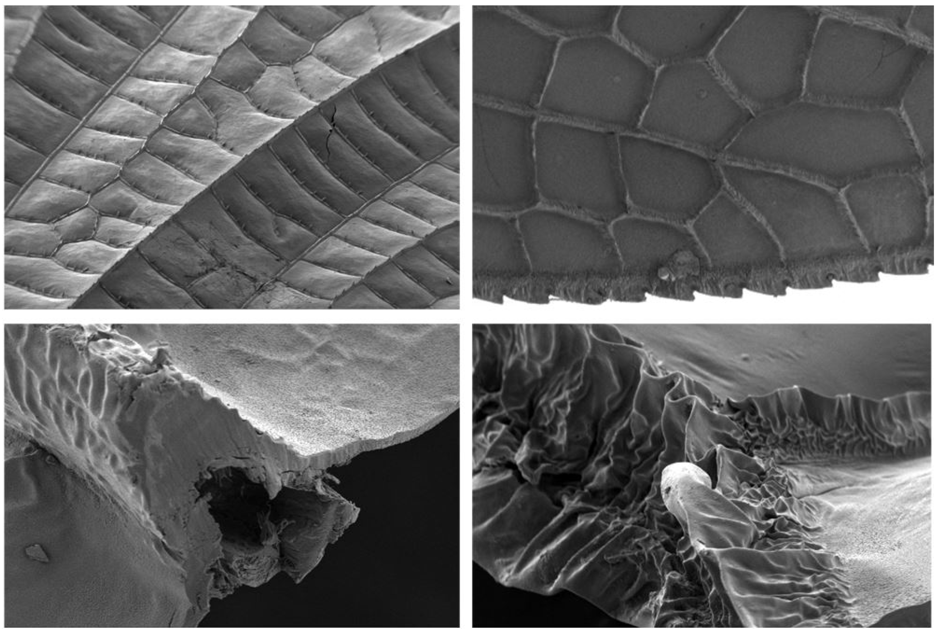 Drones 05 00024 g008