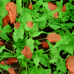 Drones 05 00034 i010 Drones 05 00034 i010