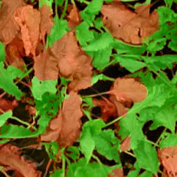 Drones 05 00034 i011 Drones 05 00034 i011