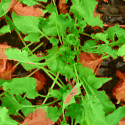 Drones 05 00034 i019 Drones 05 00034 i019