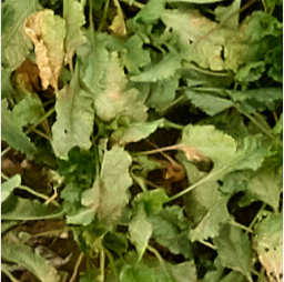 Drones 05 00034 i021 Drones 05 00034 i021