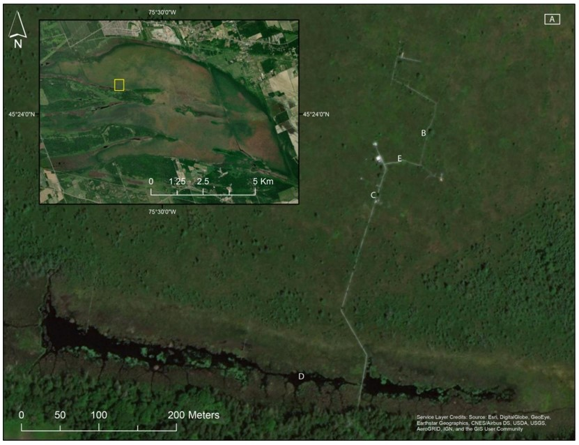 Drones 05 00036 g001a