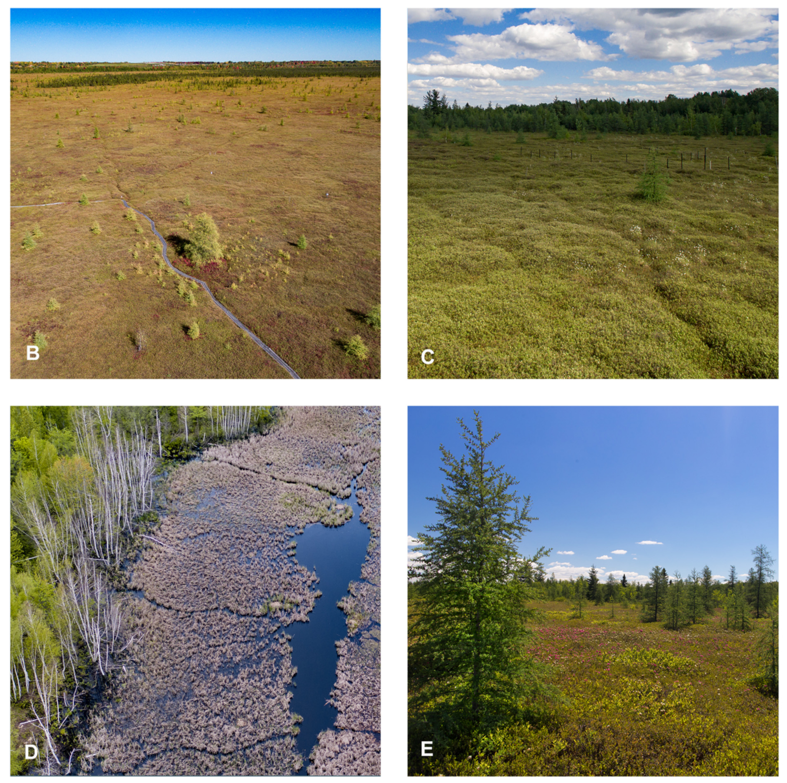 Drones 05 00036 g001b