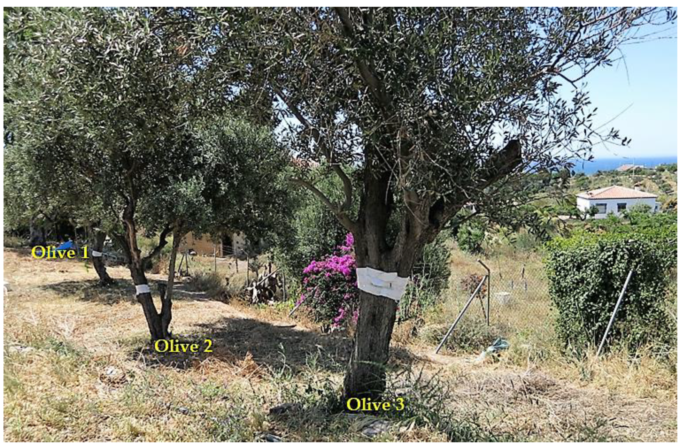 Drones 05 00043 g001