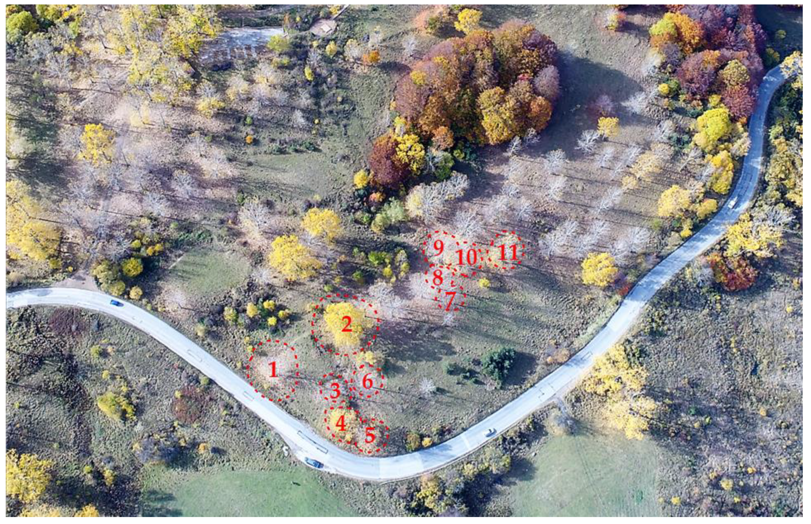 Drones 05 00043 g002