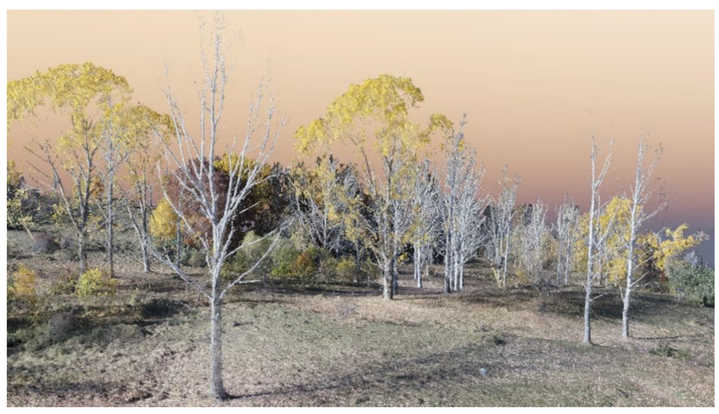 Drones 05 00043 g013