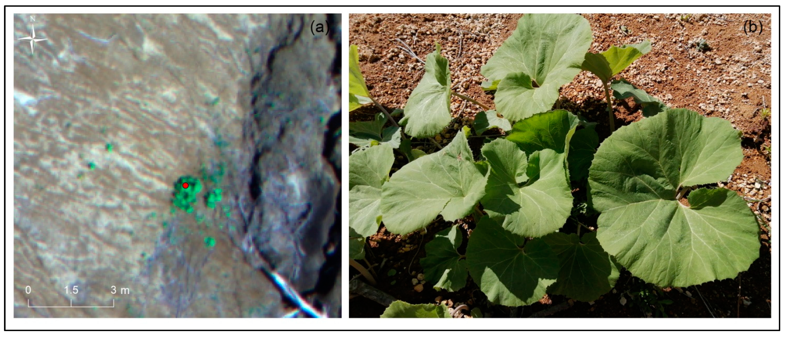 Drones 05 00097 g003