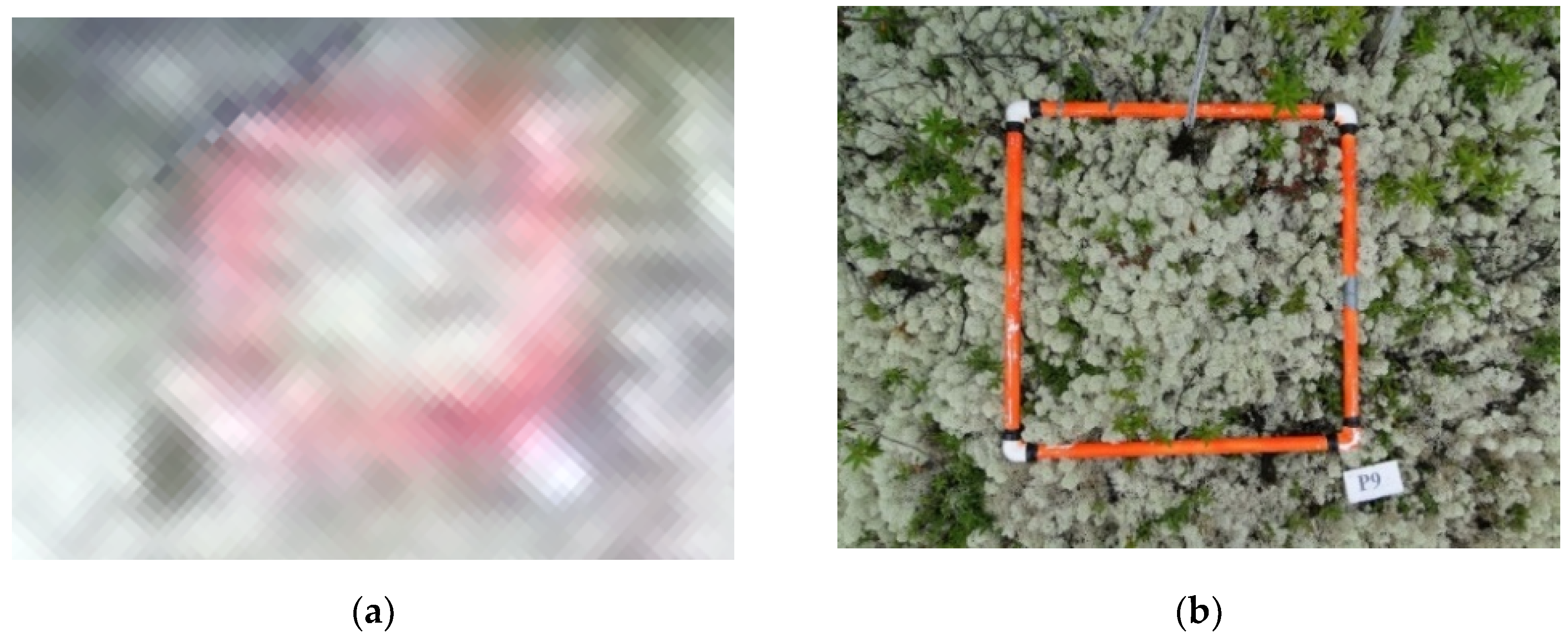 Drones 05 00099 g007 550