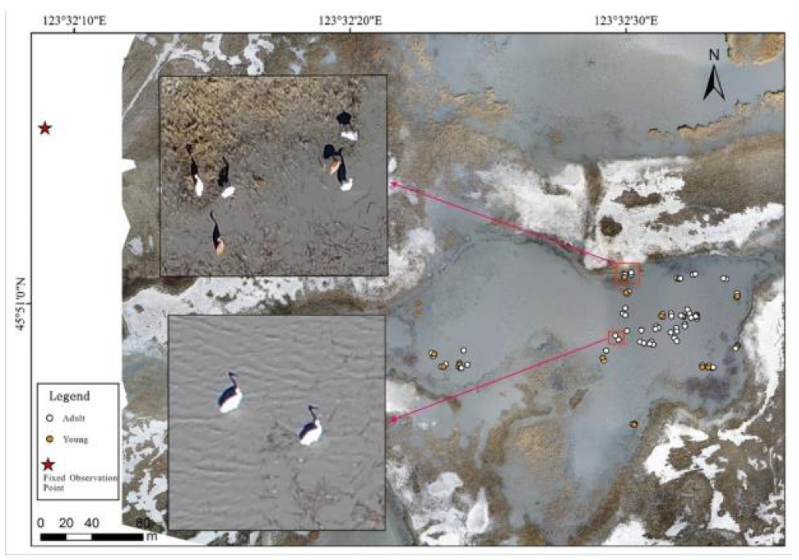 Drones 05 00102 g004 550