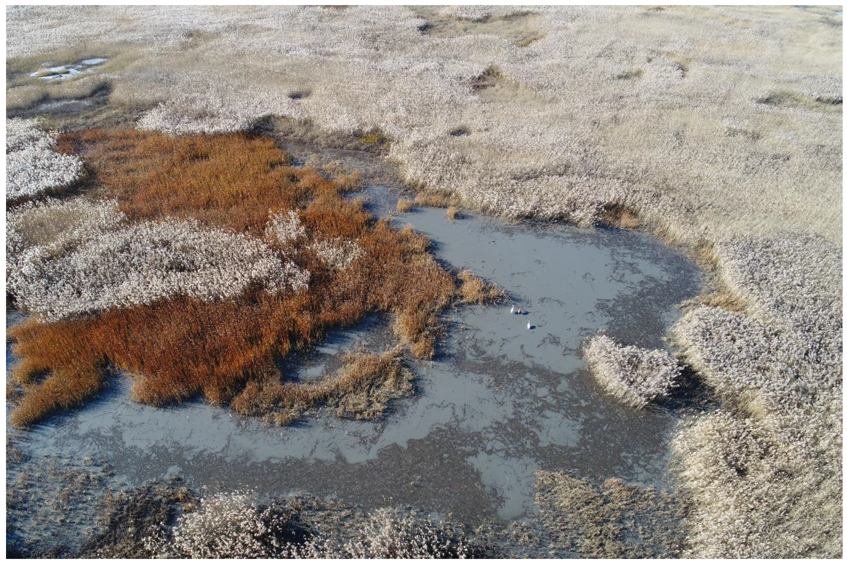 Drones 05 00102 g006 550