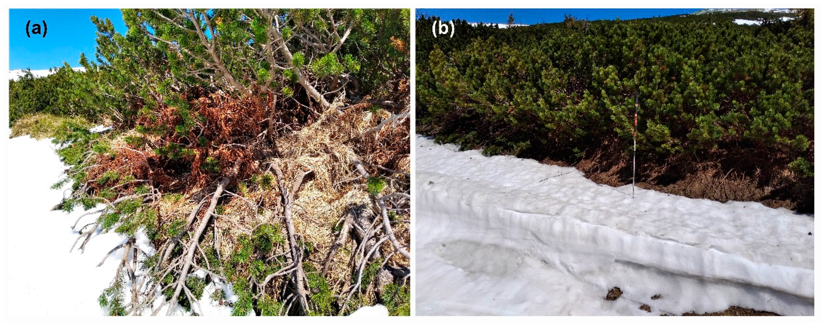 Drones 05 00114 g008