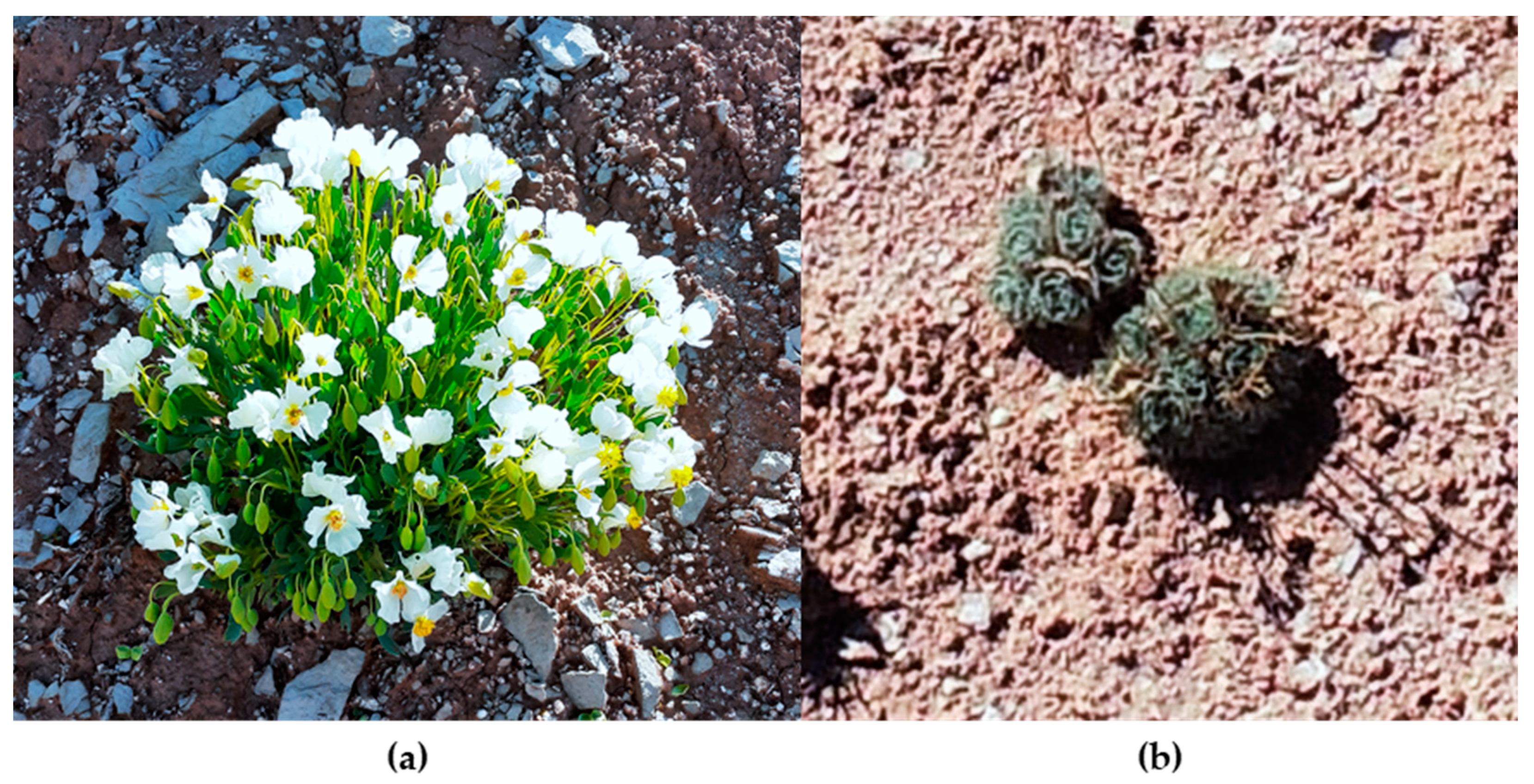 Drones 05 00126 g002