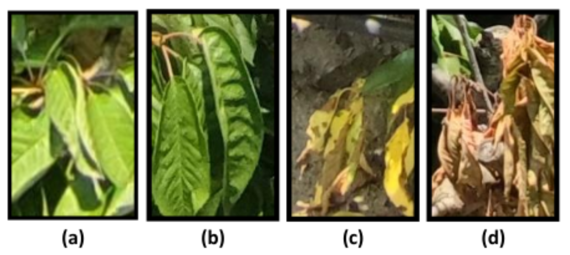 Drones 06 00003 g001