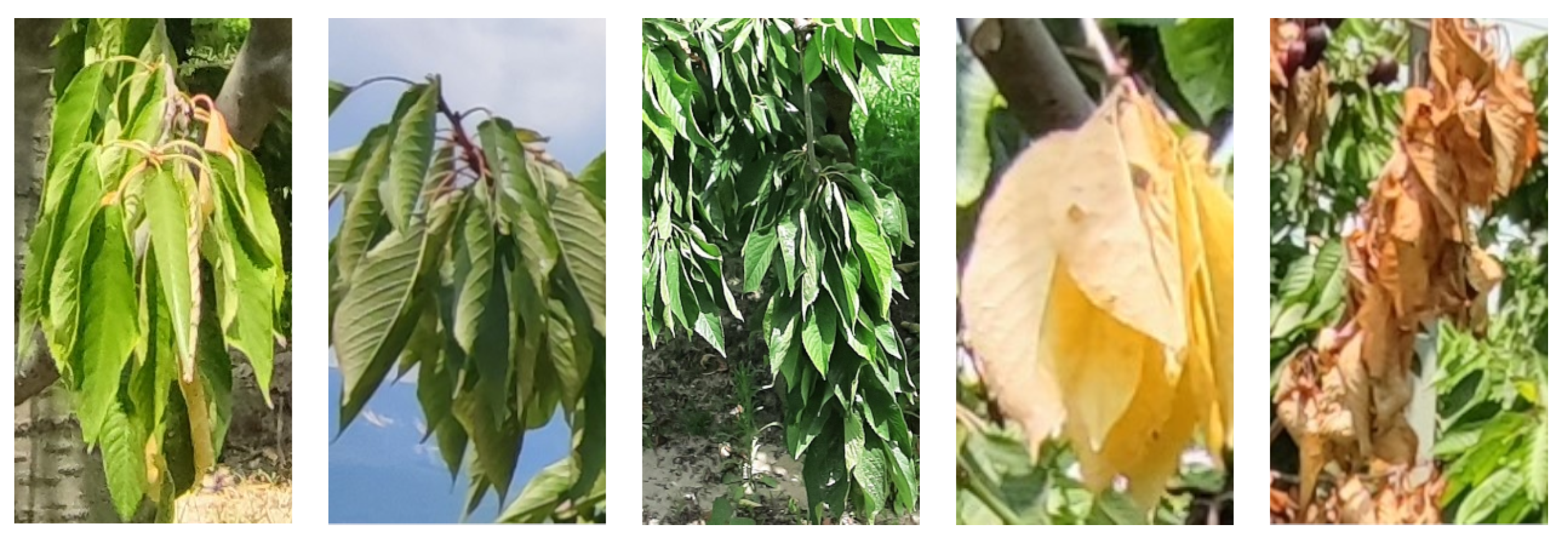 Drones 06 00003 g002