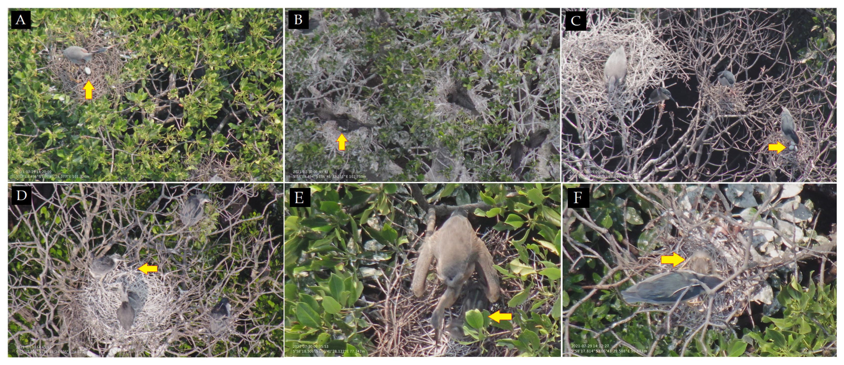 Drones 06 00006 g008