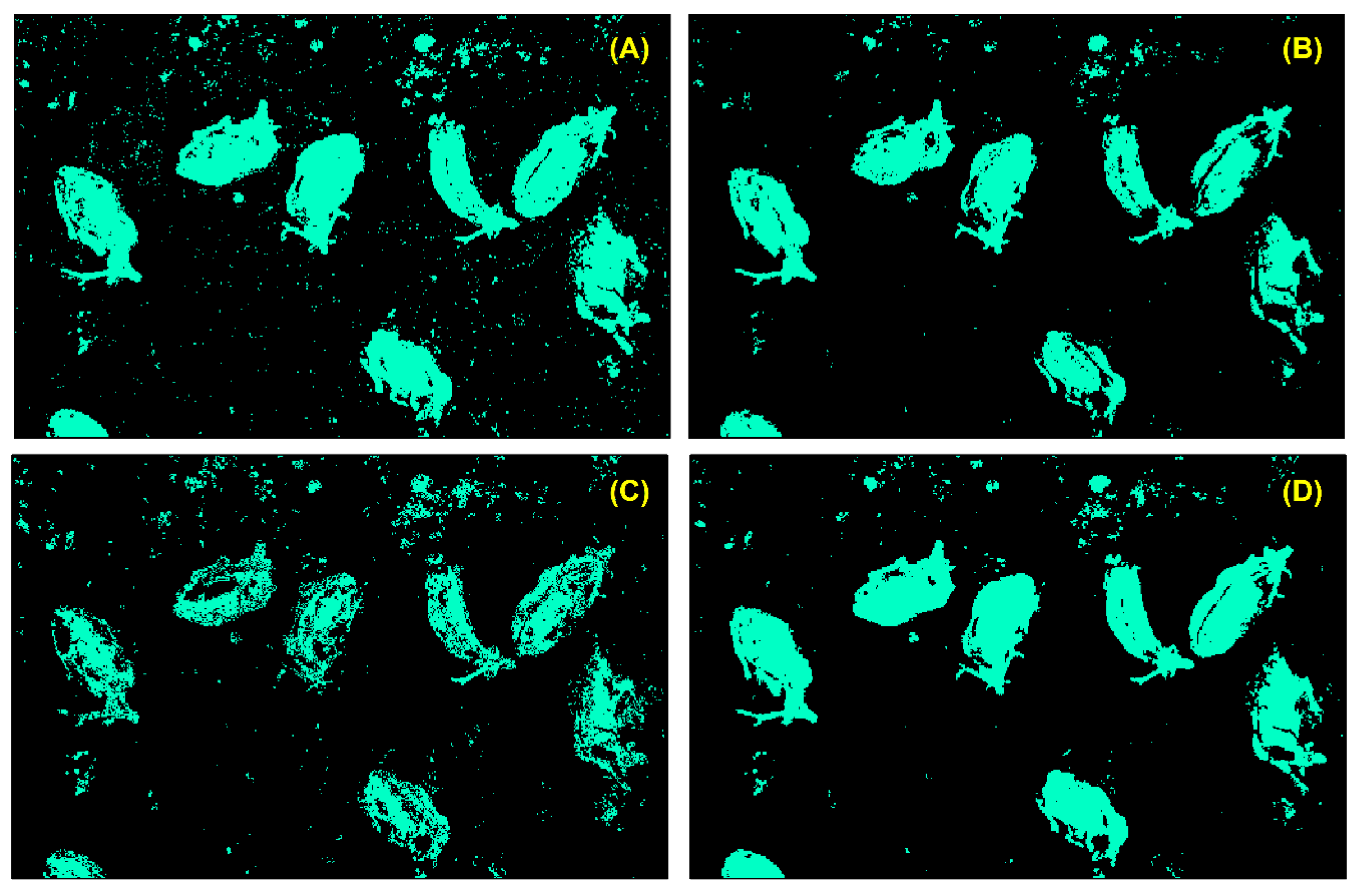 Drones 06 00006 g011