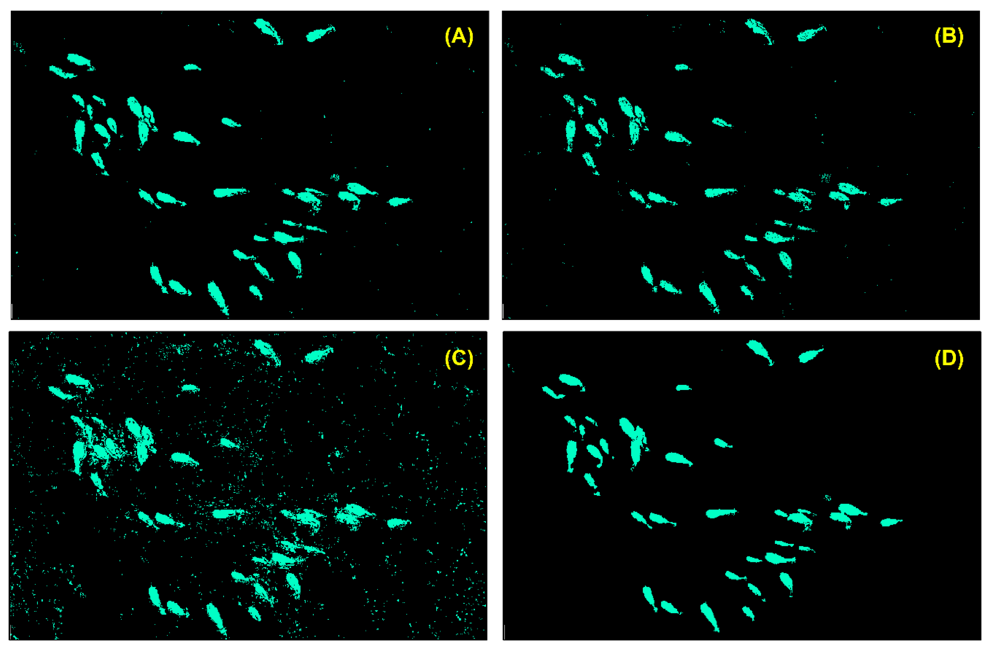 Drones 06 00006 g012