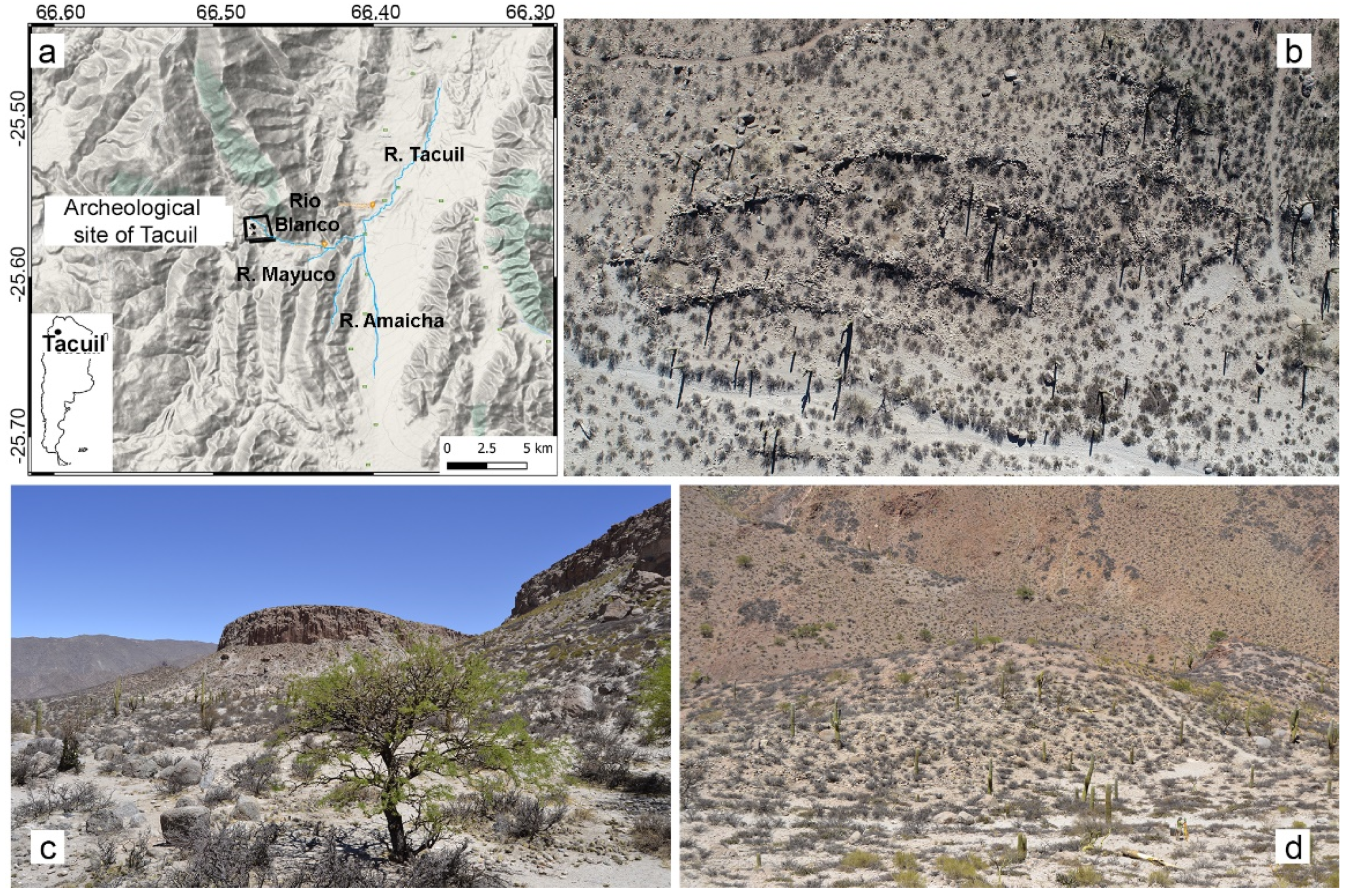 Drones 06 00031 g001 550