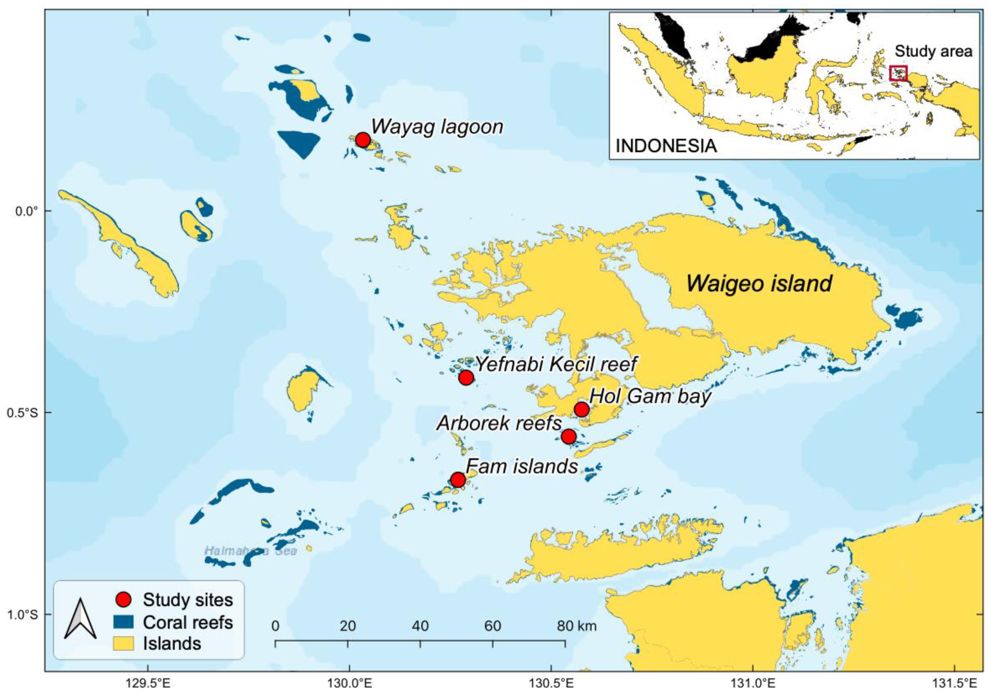 Drones 06 00063 g002 550