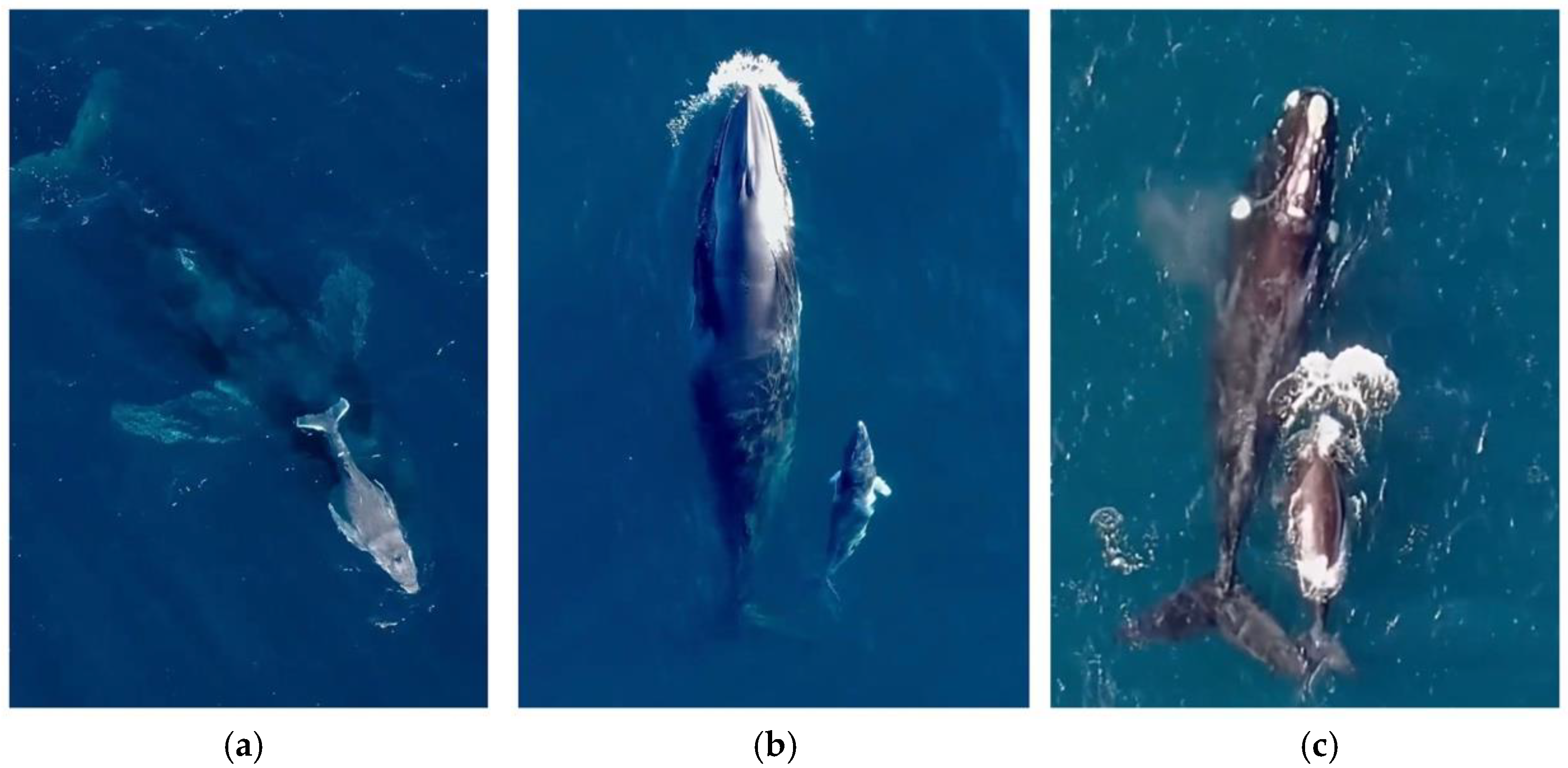 Drones 06 00075 g006