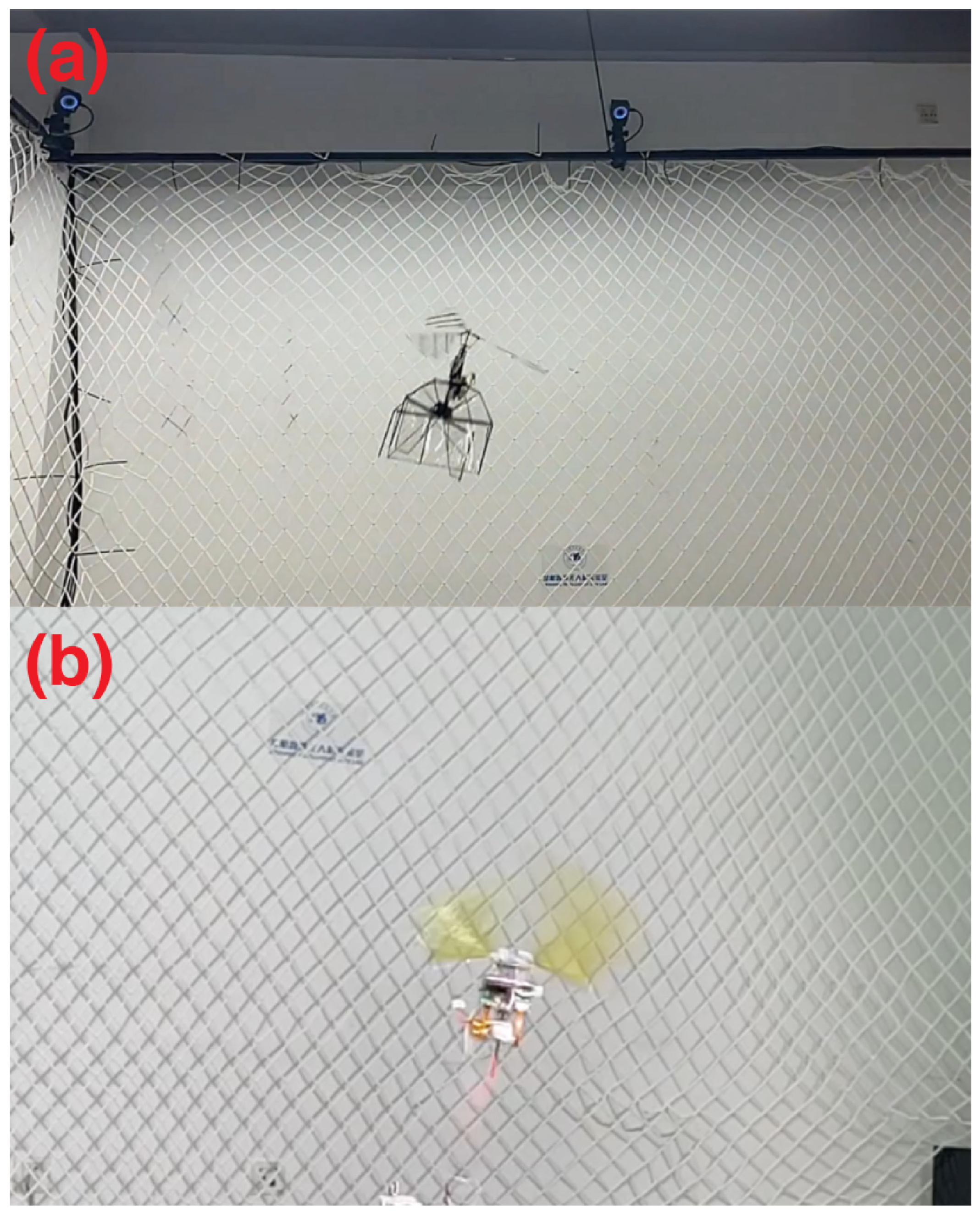 Drones 06 00090 g011 550