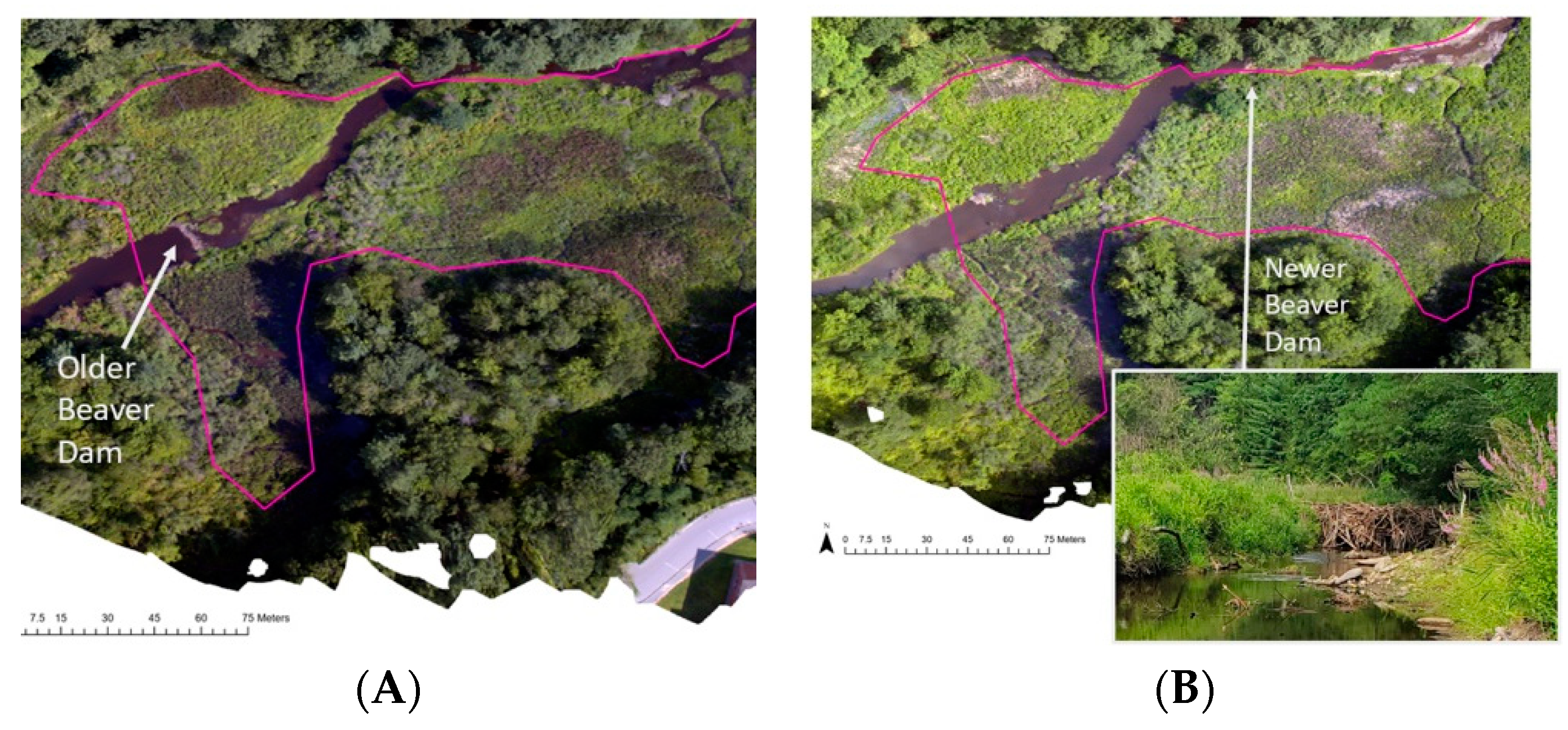 Drones 06 00100 g015