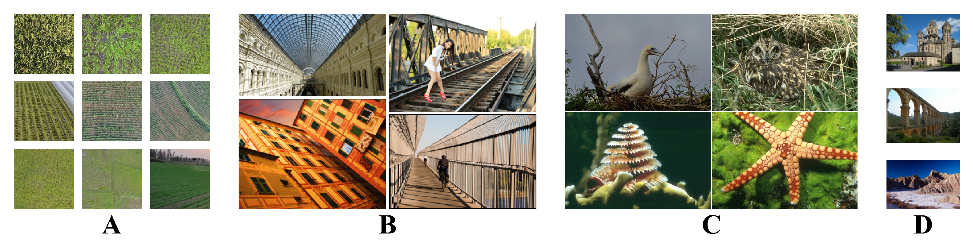 Drones 06 00162 g005