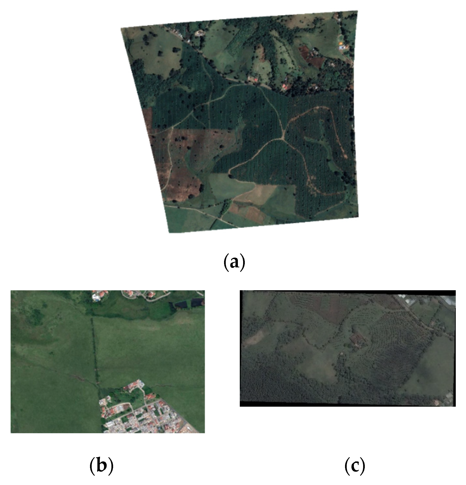 Drones 06 00181 g013 550