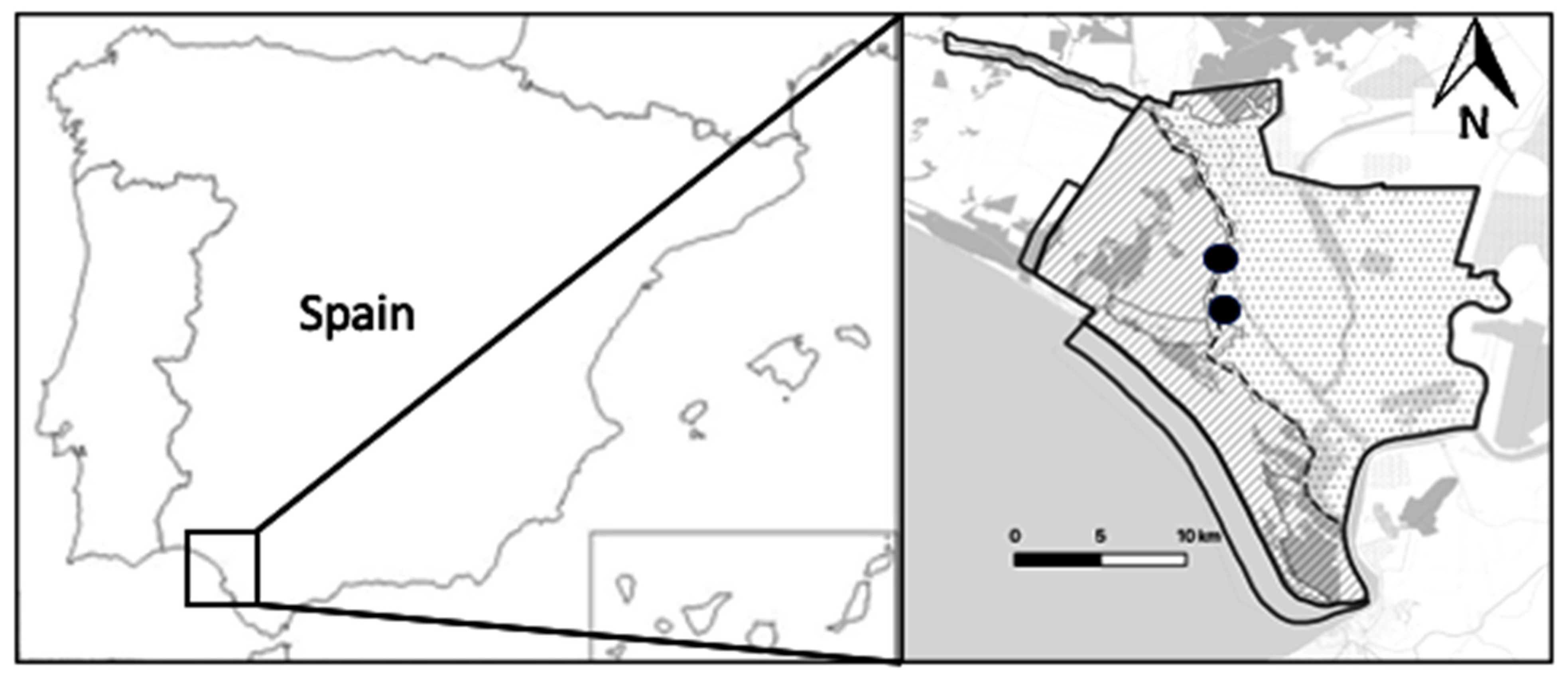 Drones 06 00189 g001