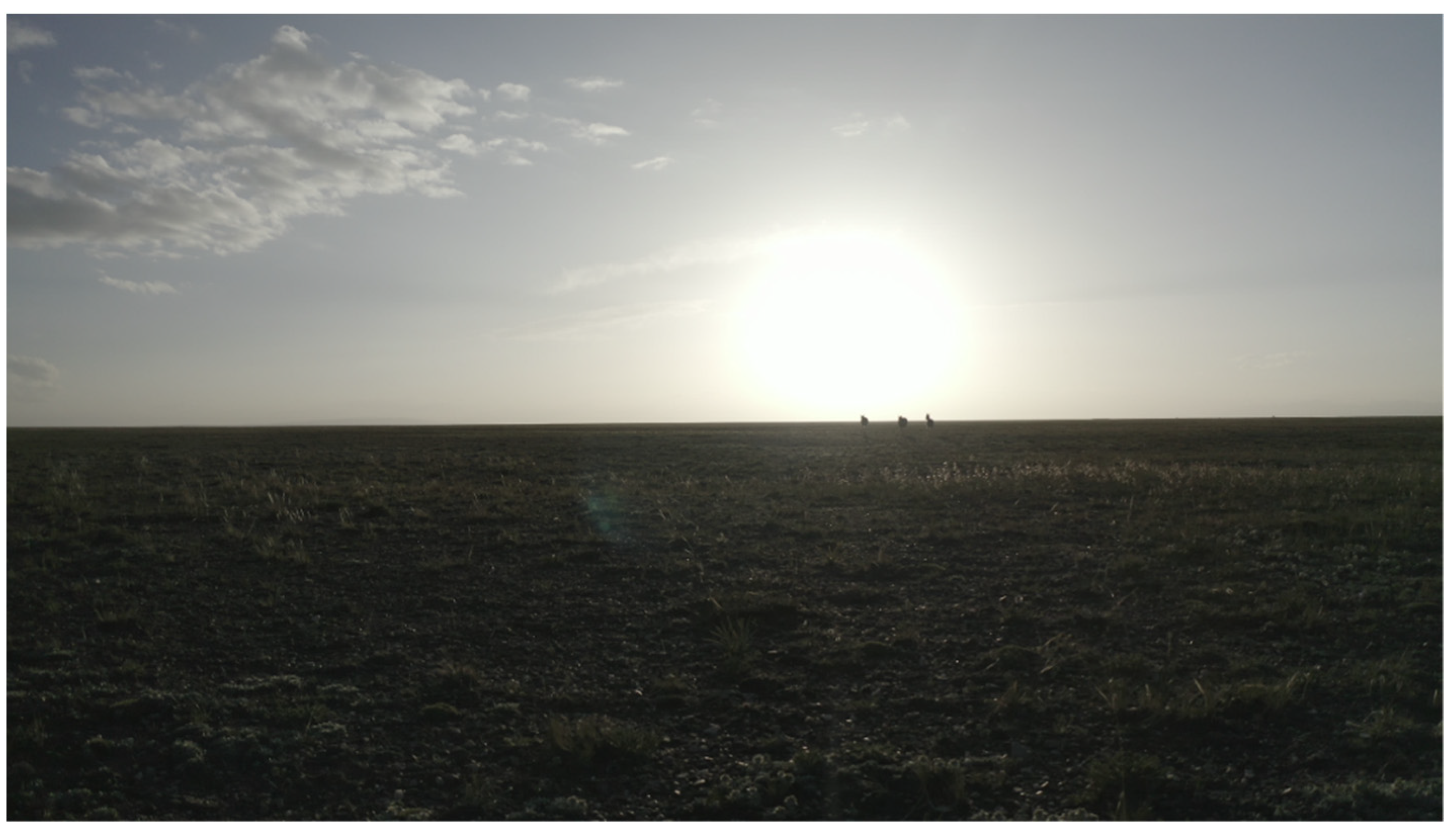 Drones 06 00196 g014