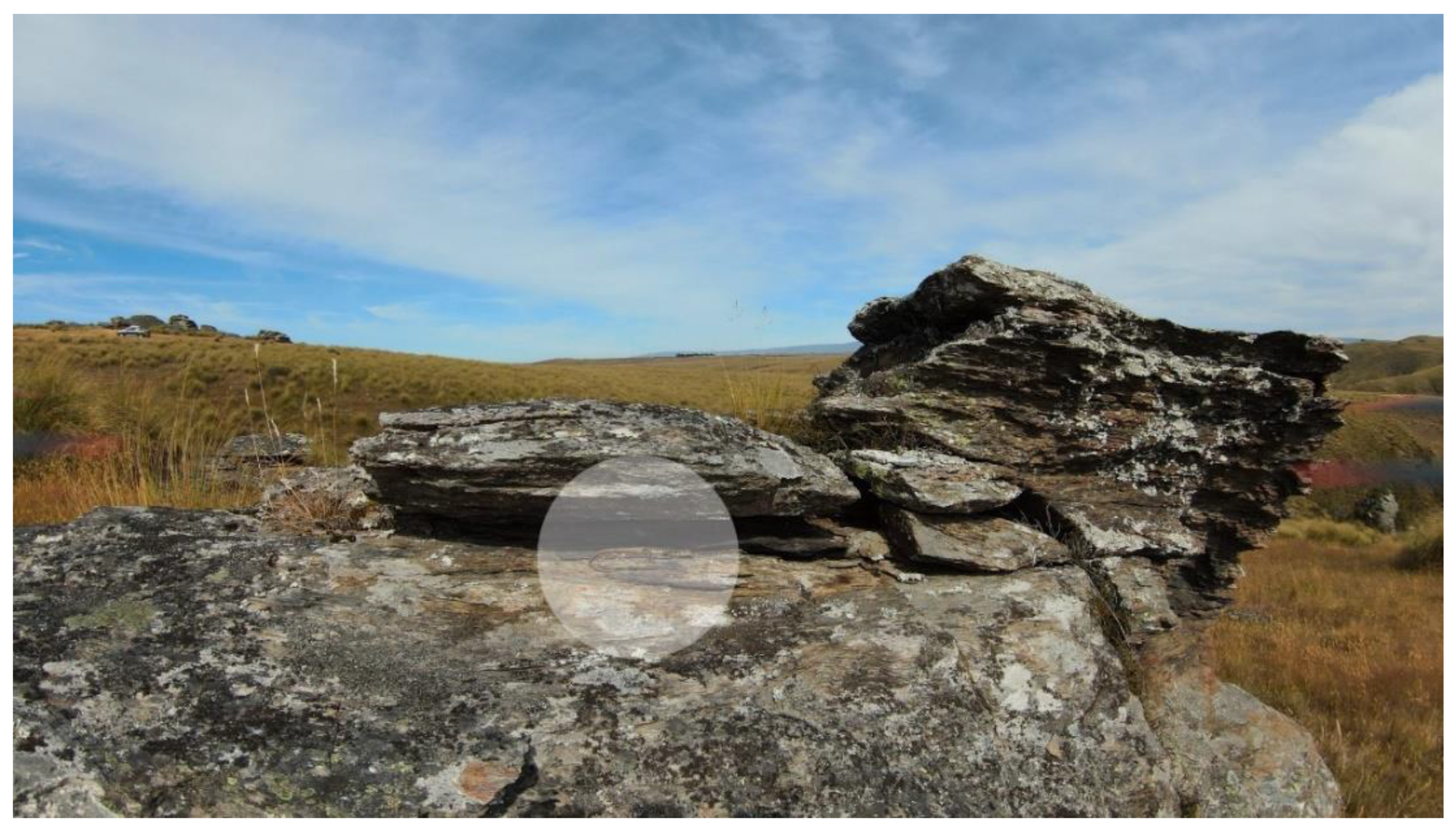 Drones 06 00199 g005