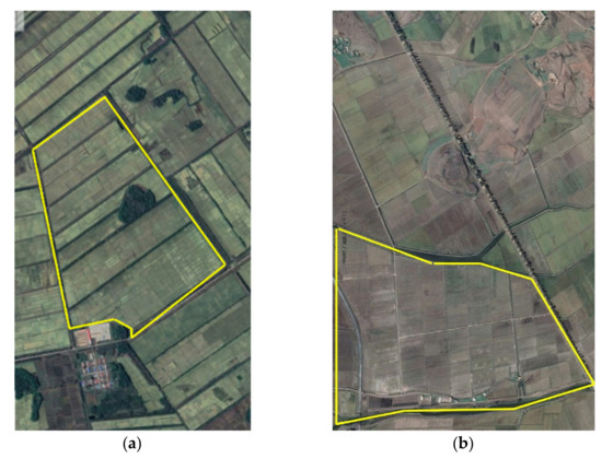 Coverage Path Planning Based on the Optimization Strategy of