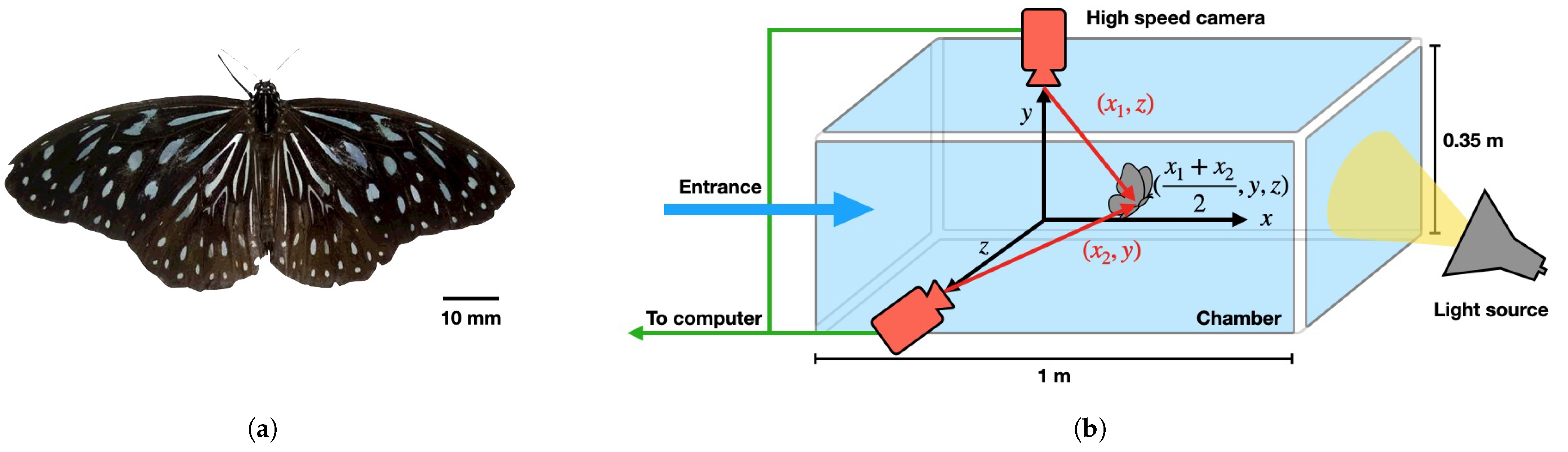 Drones 06 00210 g001 Drones 06 00210 g001