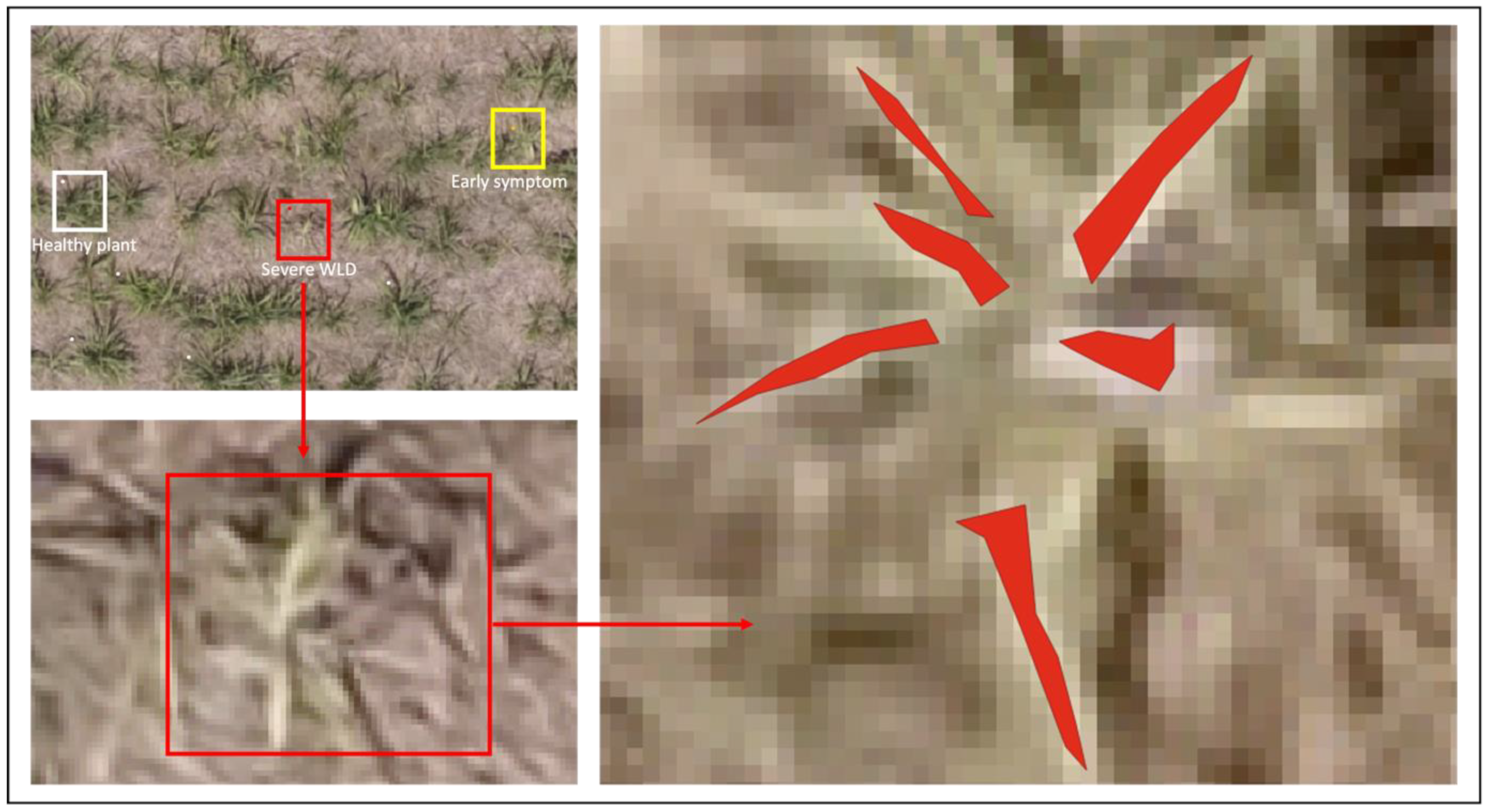 Drones 06 00230 g005 550