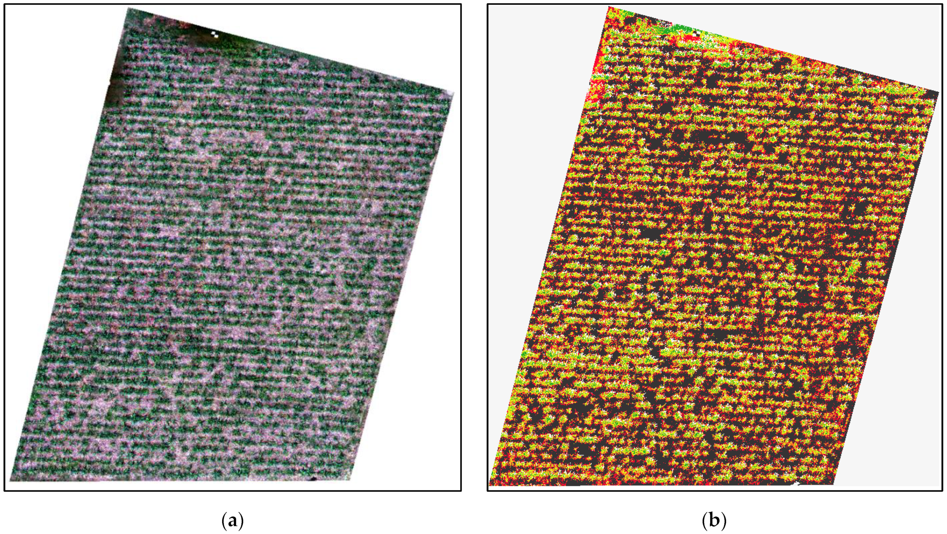 Drones 06 00230 g009 550