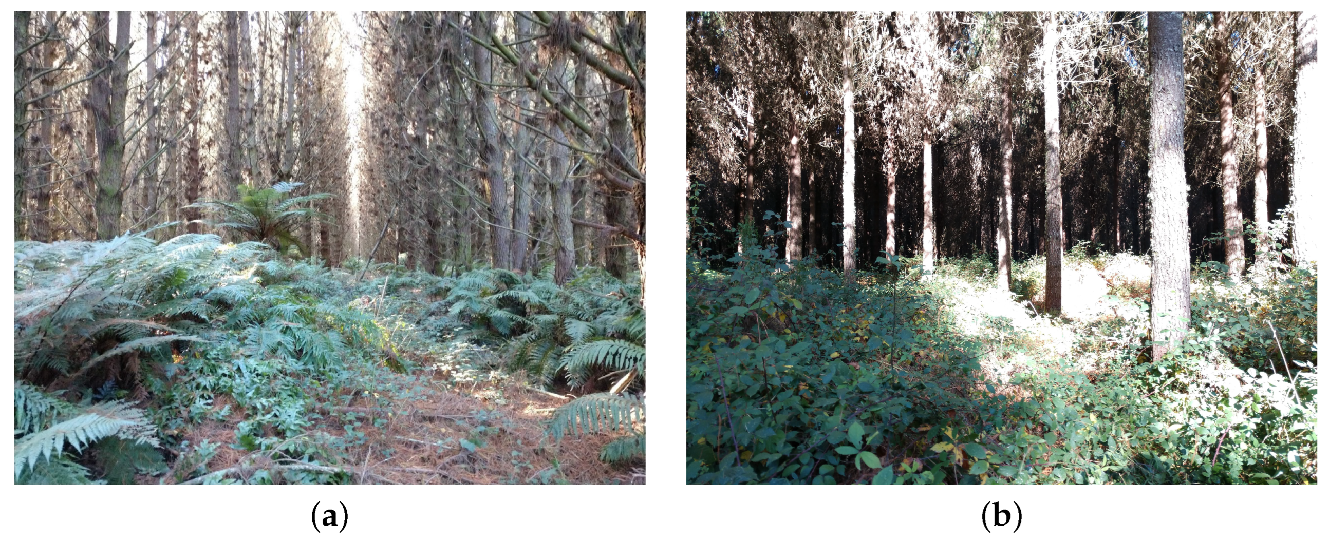 Drones 06 00256 g001