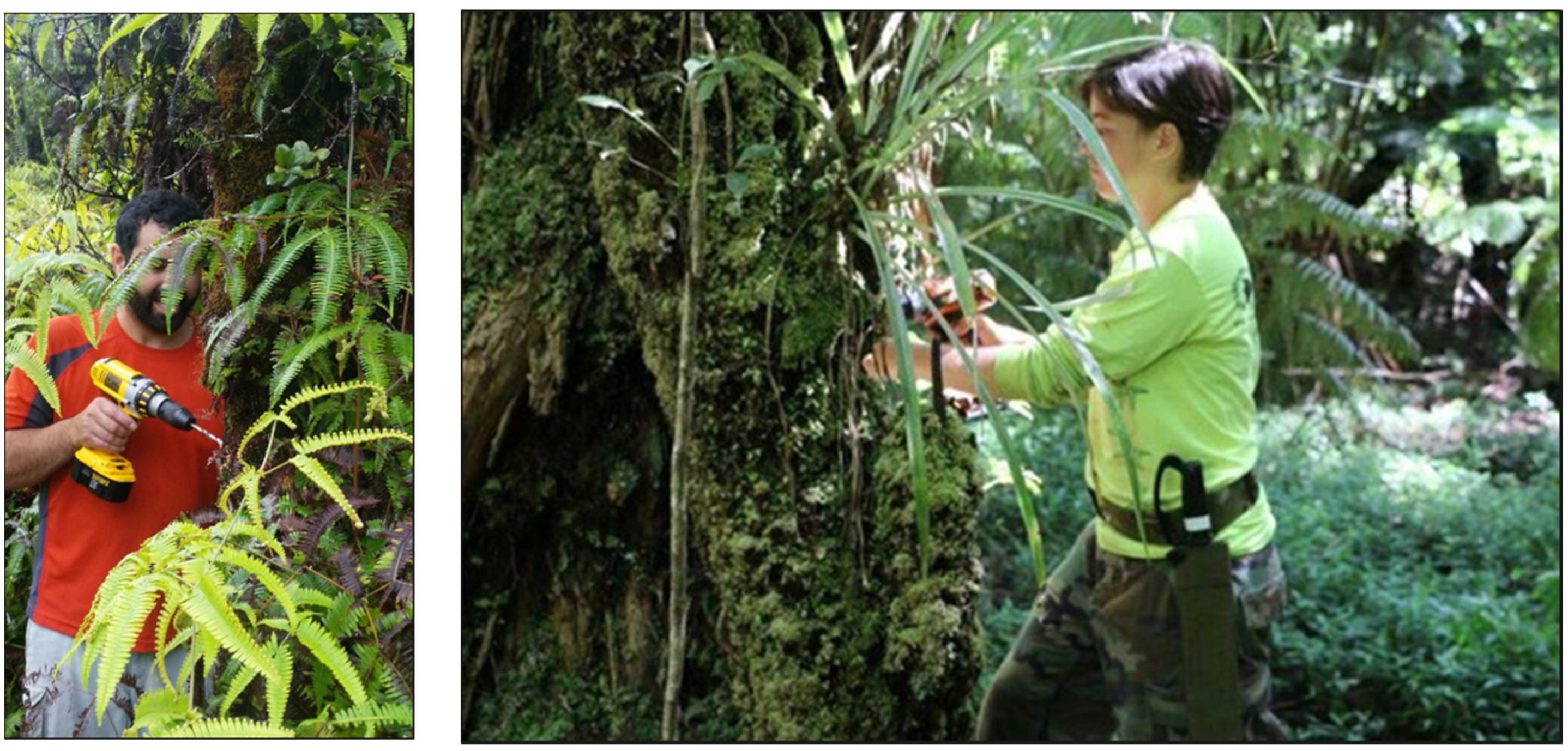 Drones 06 00275 g002 Drones 06 00275 g002