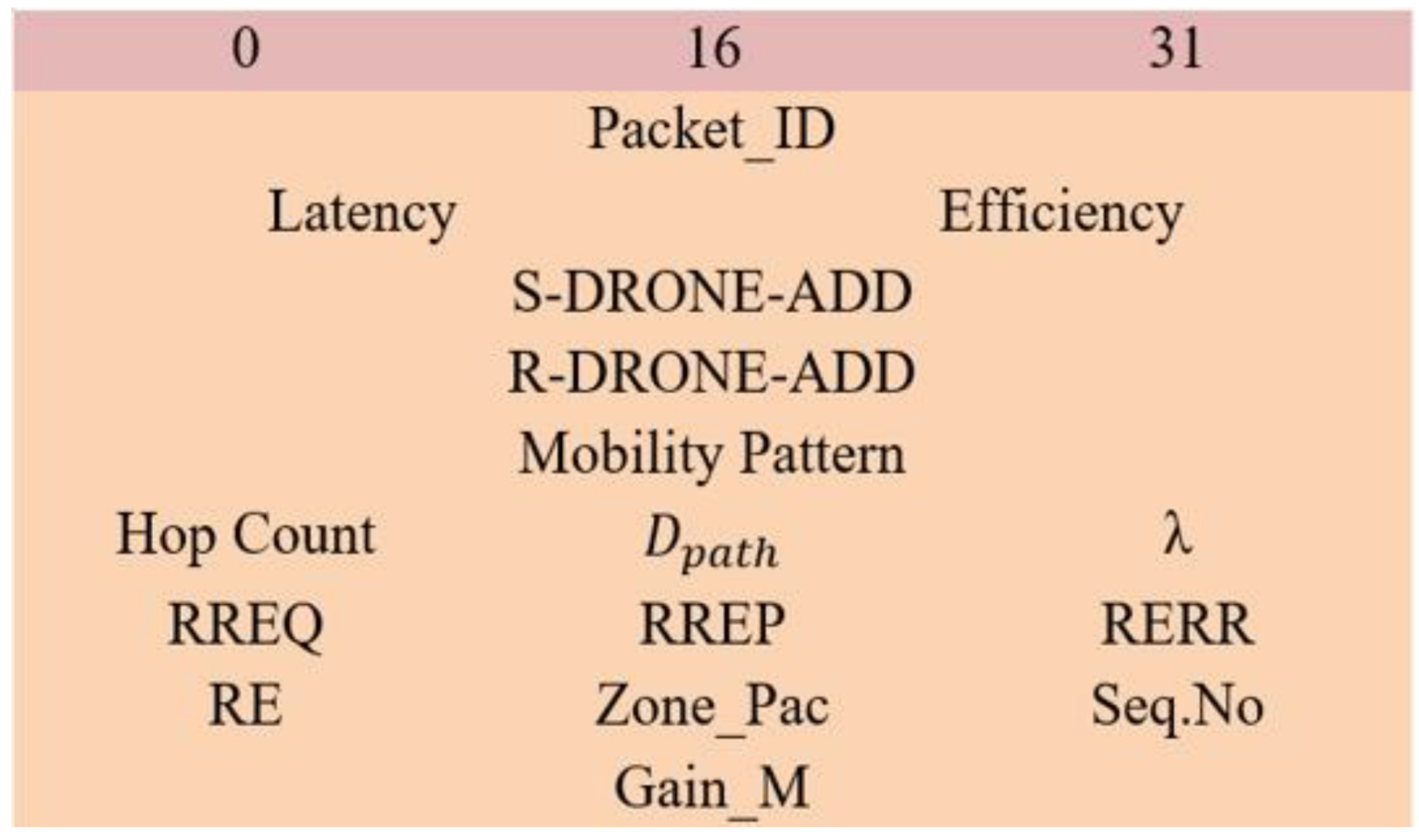 Drones 06 00337 g003